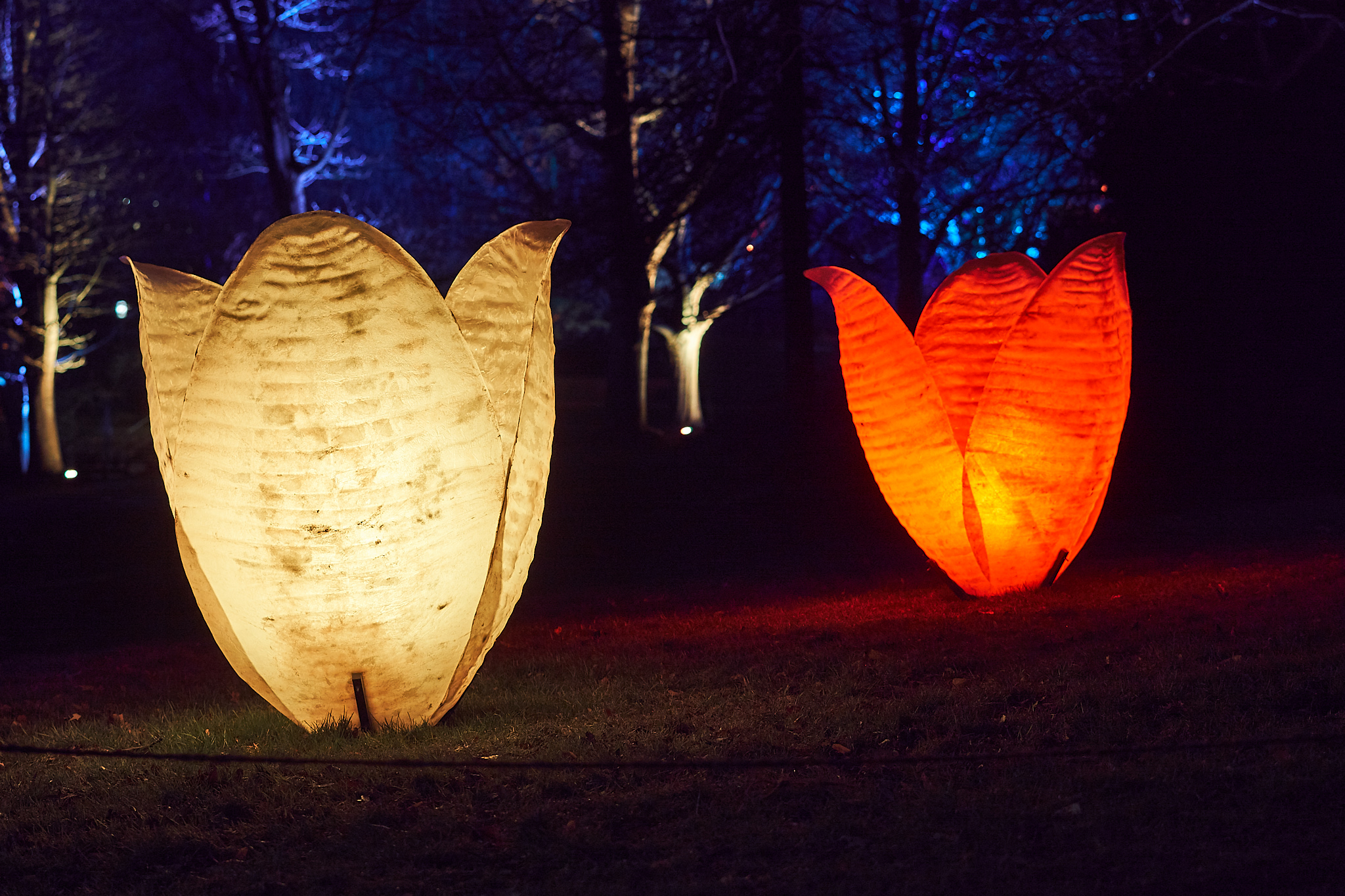 2018 03 06 Parkleuchten 0224